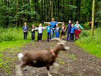 &Uuml;berleiten der Tiere mit Mara